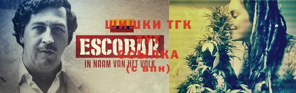 гашик Балахна