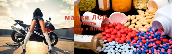 гашик Балахна