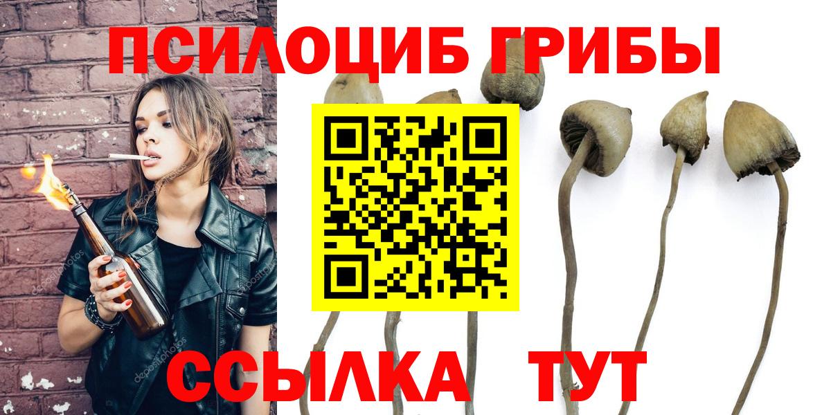 Псилоцибиновые грибы ЛСД Вольск