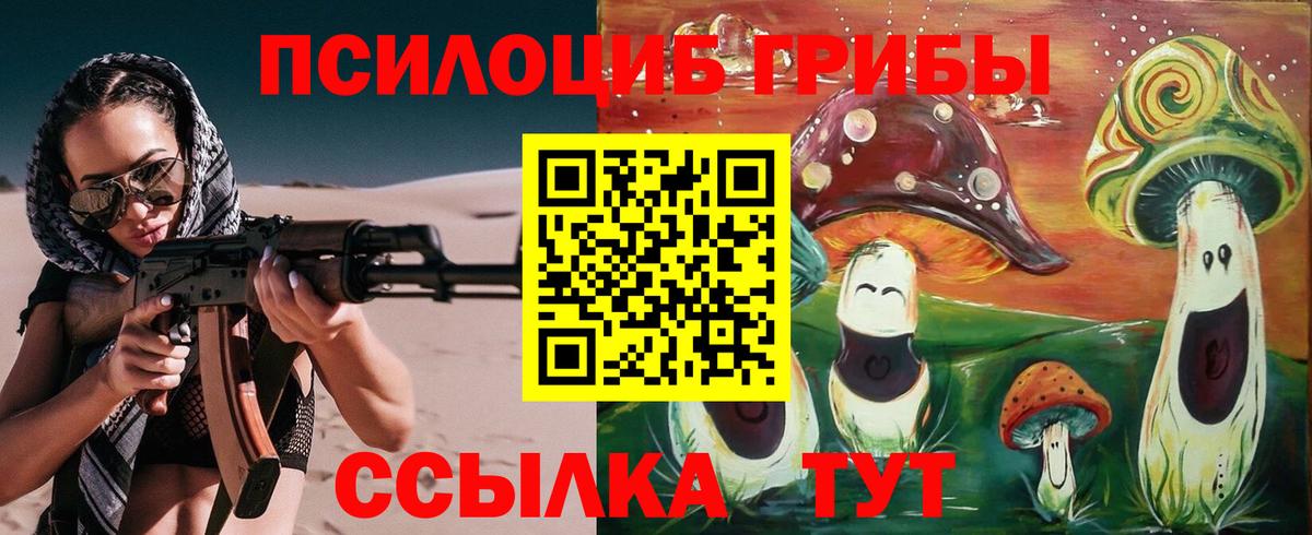 Вольск  Псилоцибиновые грибы мицелий  Вход с VPN  Галлюциногенные грибы прущие грибы 