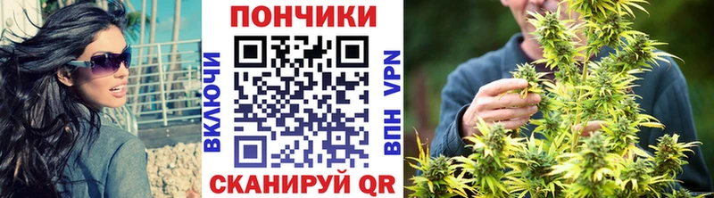 Марихуана план  Вольск 